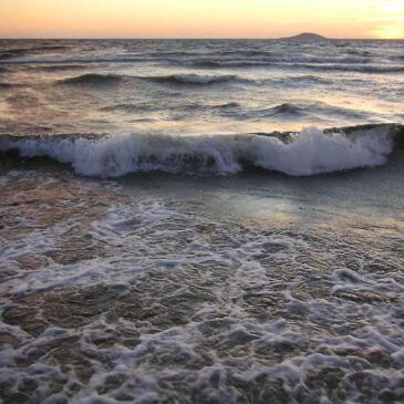 Idag flyger bäckasinerna högt